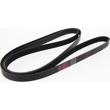 6PK2565RB drive belt Holden commodore