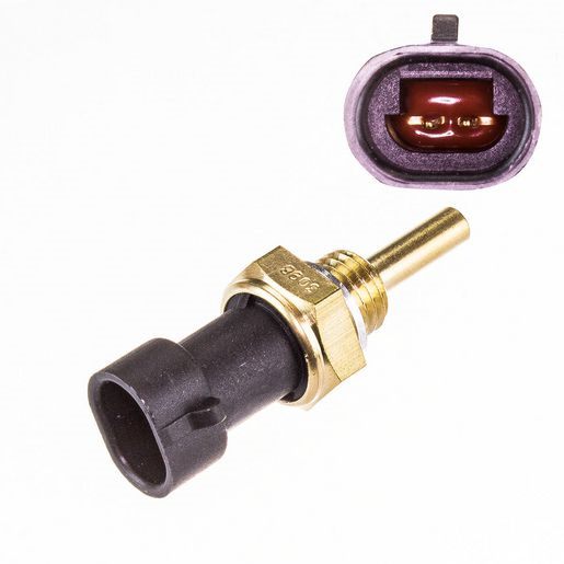 HOLDEN COOLANT TEMPERATURE SENSOR CCS31 (MULTIPLE VEHICLES)