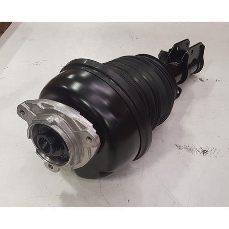 68351L MERCEDES BEN CLS AND E-CLASS REAR AIRBAG SUSPENSION STRUT
