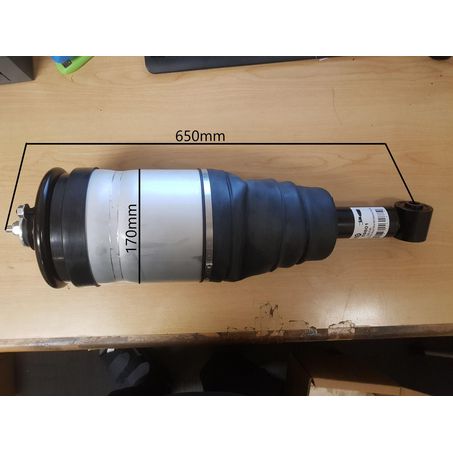 69801 LAND ROVER DISCOVERY REAR AIRBAG STRUT SHOCK ABSORBER RANGE ROVER
