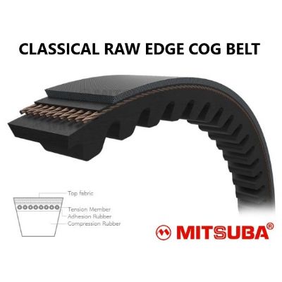 ZX31.5 MX/10 COGGED V-BELT